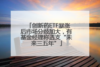 创新药ETF暴涨后市场分歧加大，有基金经理称透支“未来三五年”